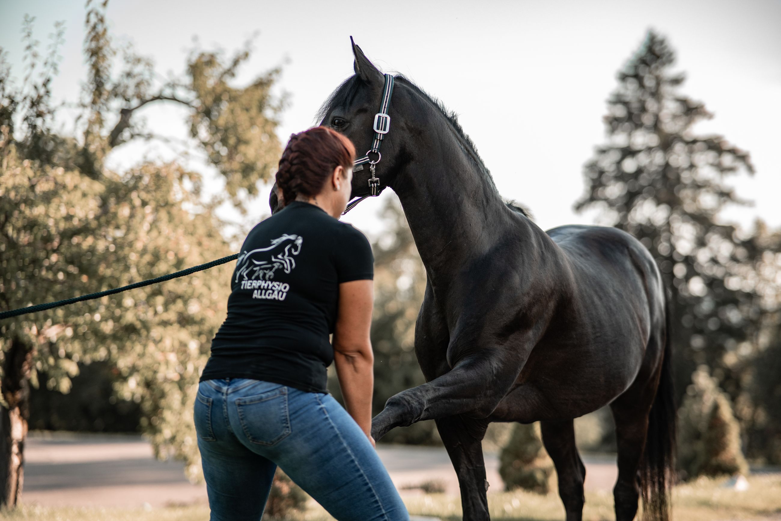 Aktives Training mit einem Pferd